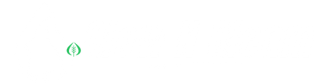 Glow-n-Gleam-Logo